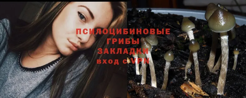 Псилоцибиновые грибы MAGIC MUSHROOMS  цены наркотик  Чишмы 